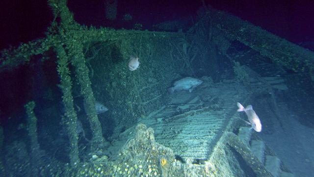 Wreck of the SS Bluefields