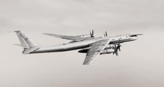 The Soviet Union explored providing a Tu-95 Bear with nuclear power. Like the NB-36H, the plane was used for testing airborne operation of a reactor and shielding. The reactor did not power the aircraft, and the project ultimately was abandoned.