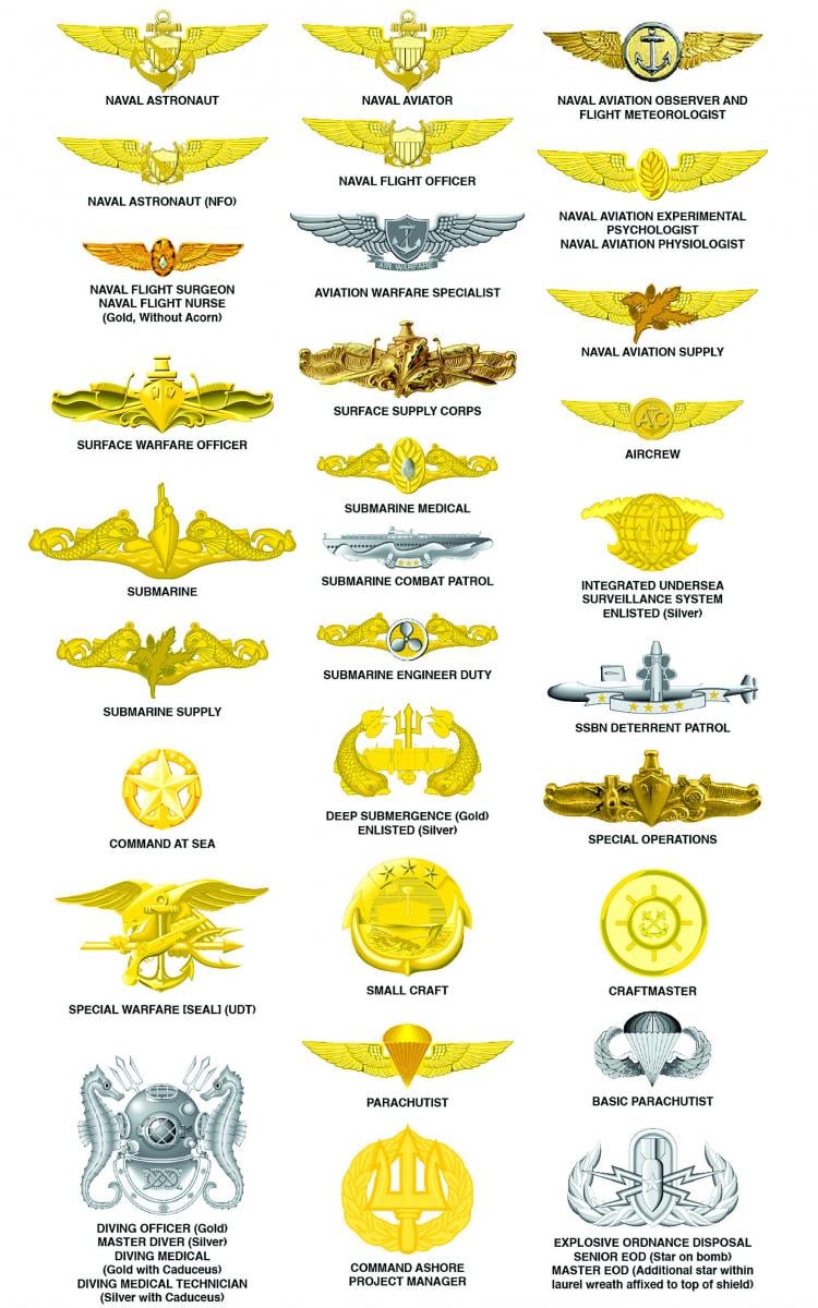 BJM Warfare and Qualification Insignia