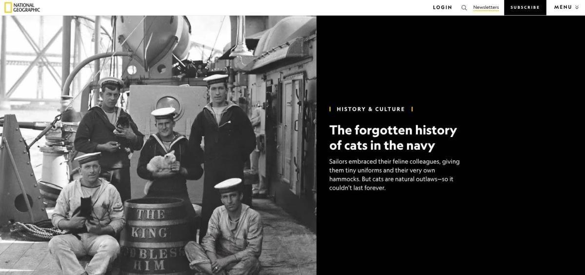 Screen shot from article about cats in the navy for National Geographic. The black and white image shows five Royal Navy sailors on the deck of the HMS Sentinel in 1914. They are posed next to a rum barrel. Two are seated and three are standing. Three hold cats in their arms.