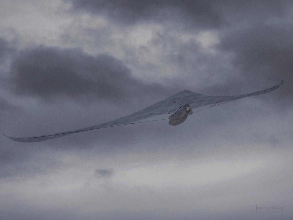 Concept art of a stealth kite suit