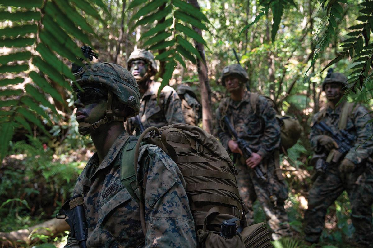 Marines navigate the treacherous environment at the Jungle Warfare Training Center (JWTC), Camp Gonsalves, Okinawa, Japan, on Mar. 12, 2019