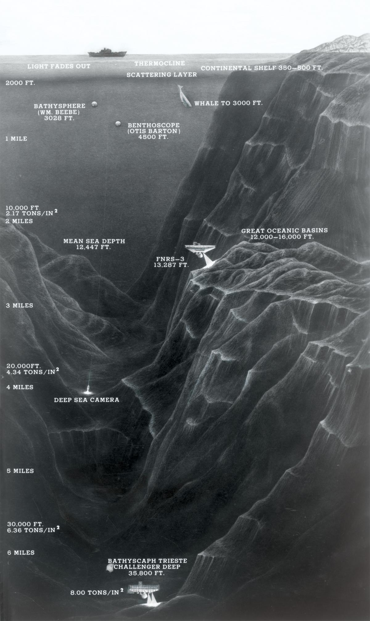 Map of the Trieste's Challenge Deep dive
