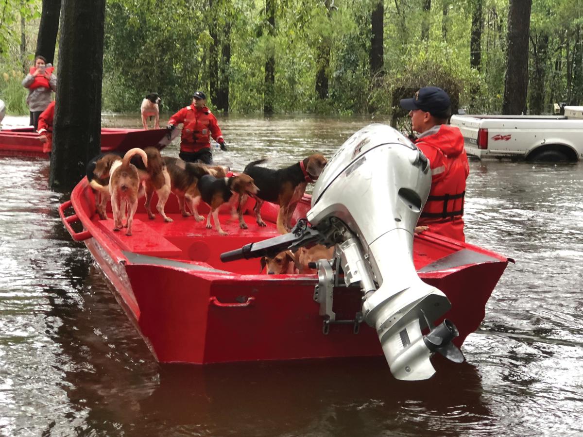 Members of Coast Guard Shallow-Water Response Boat Team 3 assist people and their pets stranded by floodwater caused by Hurricane Florence near Riegelwood, North Carolina, Sept. 16, 2018