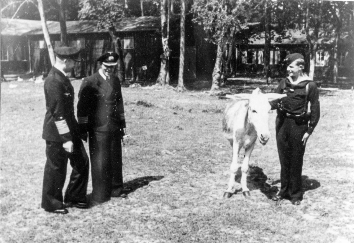 Grand Admiral Karl Dönitz and Hans-Rudolf Rösing inspecting the mascot of the U-boat's West soccer team