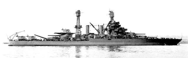cage masts