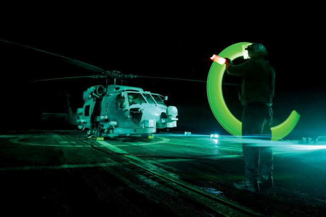 Sea hawk