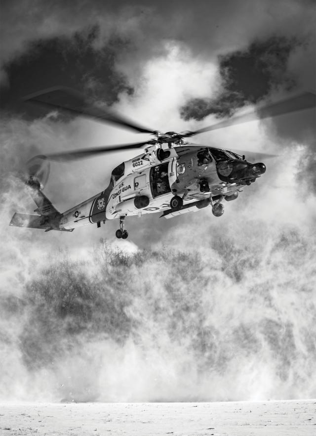 Snow Landing in Black & White