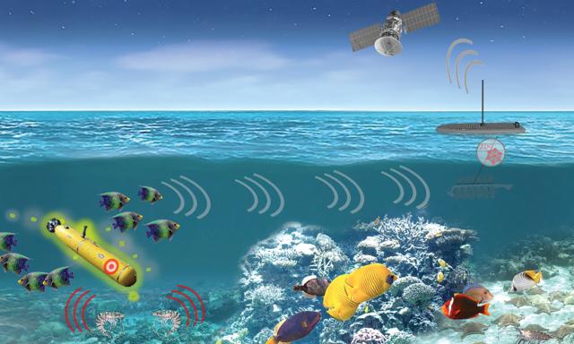 To defend against sUUVs, the Sea Services should identify ways to further integrate marine life into their sensor network. The Defense Advanced Research Projects Agency’s Persistent Aquatic Living Sensors program offers opportunities to integrate marine organisms in the threat-recognition cycle.