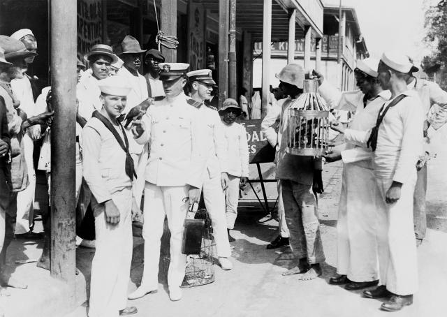 U.S. Navy sailors of the Great White Fleet buying parrots in Trinidad, West Indies, during the fleet's first stop on 23 December 1907. U.S. Naval Institute Photo Archive.