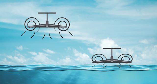 Wings generate nearly circular vortices when flying higher than their span above ground or water. In ground effect, the vortices are flattened and shortened, decreasing induced drag and increasing the pressure of the air under the wing.