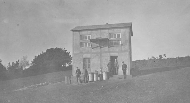 WWI pigeons