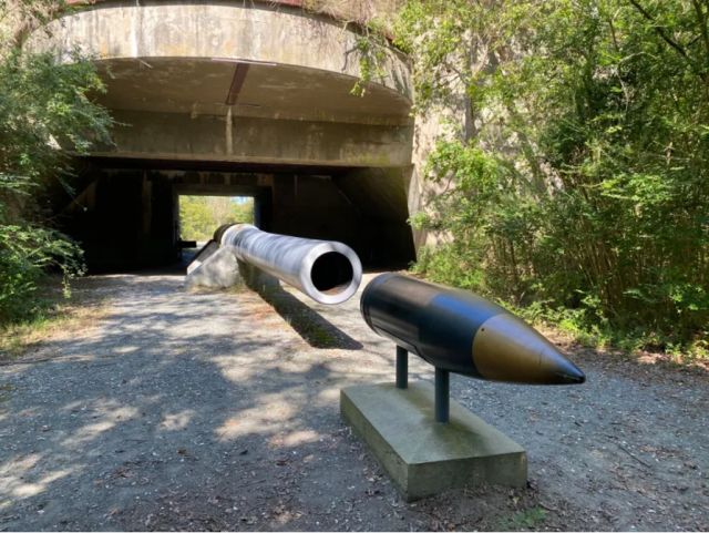 WWII Guns