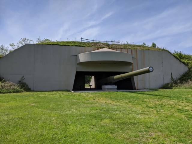 WWII Guns