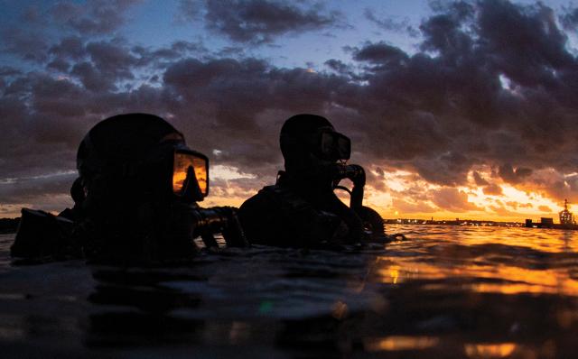 SEALs at dusk