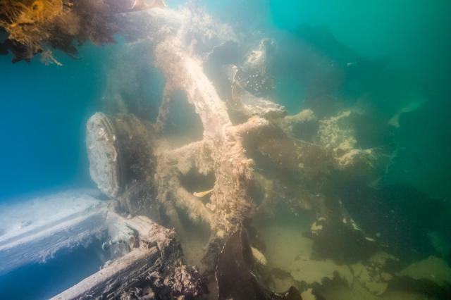 HMS Terror wheel