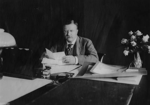 Theodore Roosevlet
