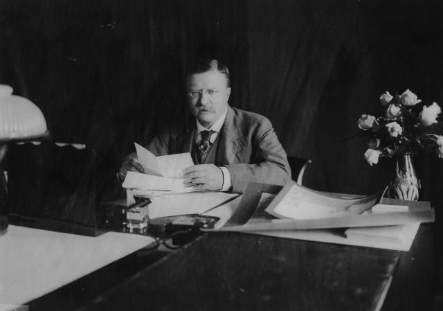 Theodore Roosevlet