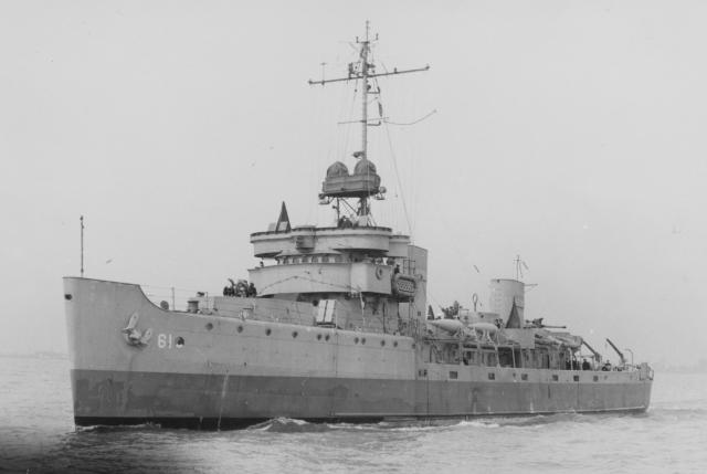 Pheasant (AM-61)