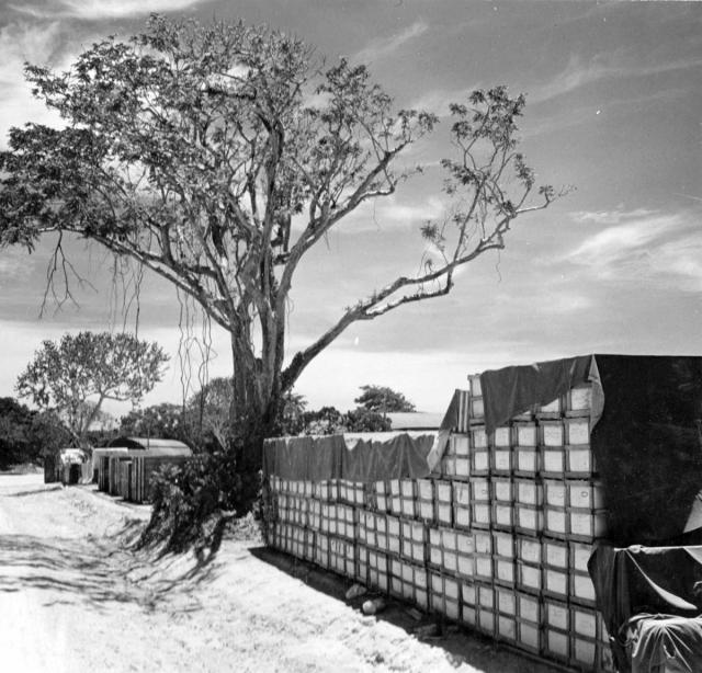 Stacks of crates covered with tarpaulins