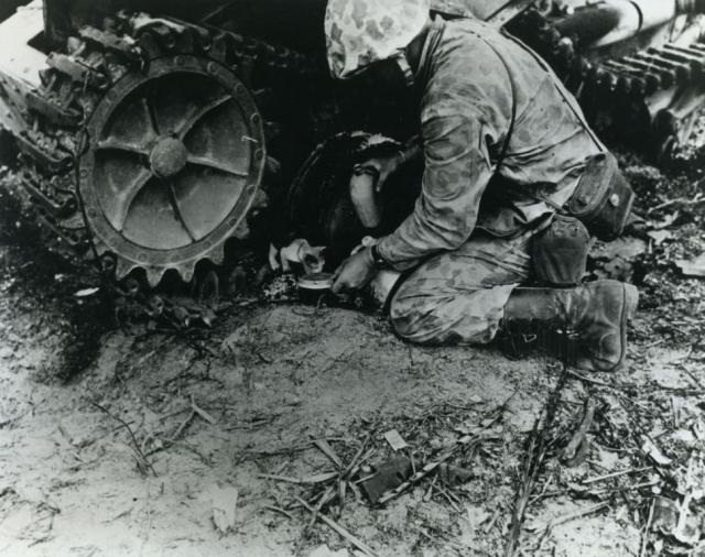 10 Tarawa Invasion kitten