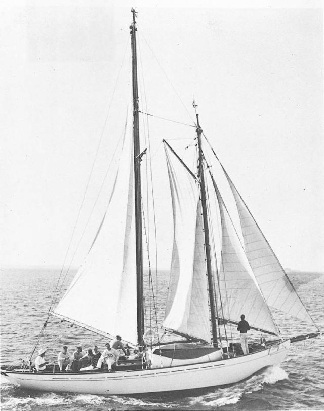 Amberjack II