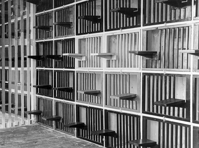 Inside view of an up to date Pigeon Loft, Navy's Main Loft at the Naval Air Station, Anacostia, Washington, D.C