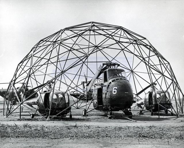 bucky1955