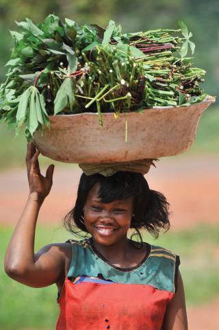 African woman carrying produce 