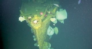 As a camera-equipped remotely operated vehicle carried out its detailed visual inspection, the characteristic sharp bow of a Clemson-class destroyer emerged from the gloom to reveal a hull covered with marine growth.