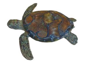 Sea turtle