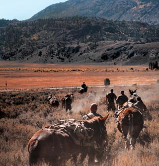 Army and Marine Corps special forces hike with their mules