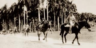 marines and mules 