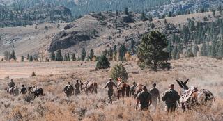 mules and marines 