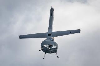 The V-BAT 128 unmanned aerial system performs a vertical landing on the flight deck of the amphibious transport dock ship USS Arlington (LPD-24). Assuming a V-BAT costs $500,000, the Marine Corps could purchase almost 278 V-BATs for the price of eight MQ-9A Reaper drones.