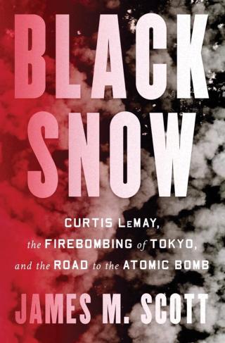 Black Snow Book Cover 