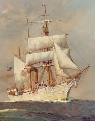 Revenue Cutter Bear