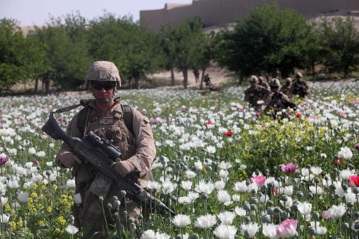 Marines on patrol in a poppy field in Afghanistan