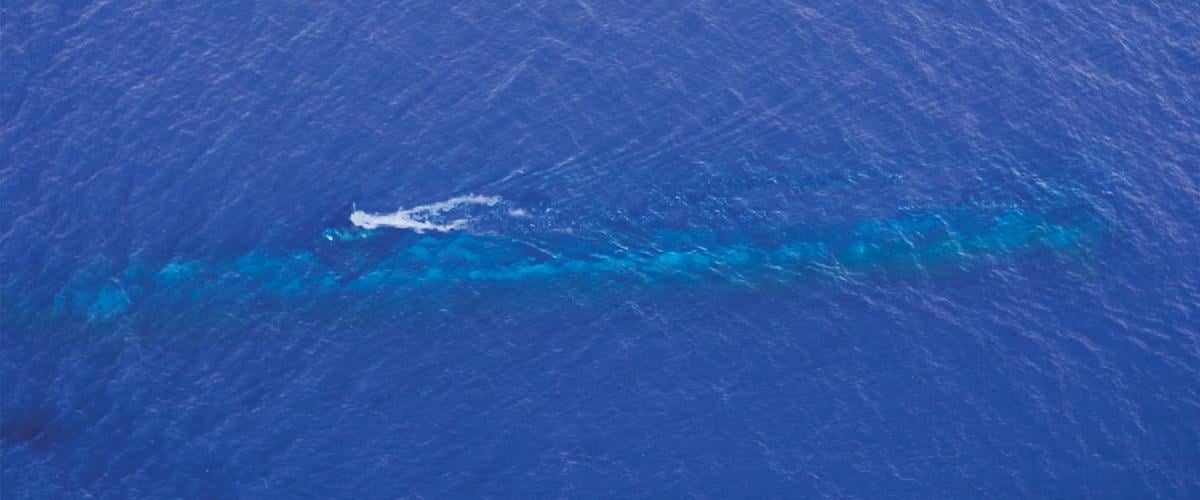 A Los Angeles–class  submarine at periscope  depth in the western Pacific. 