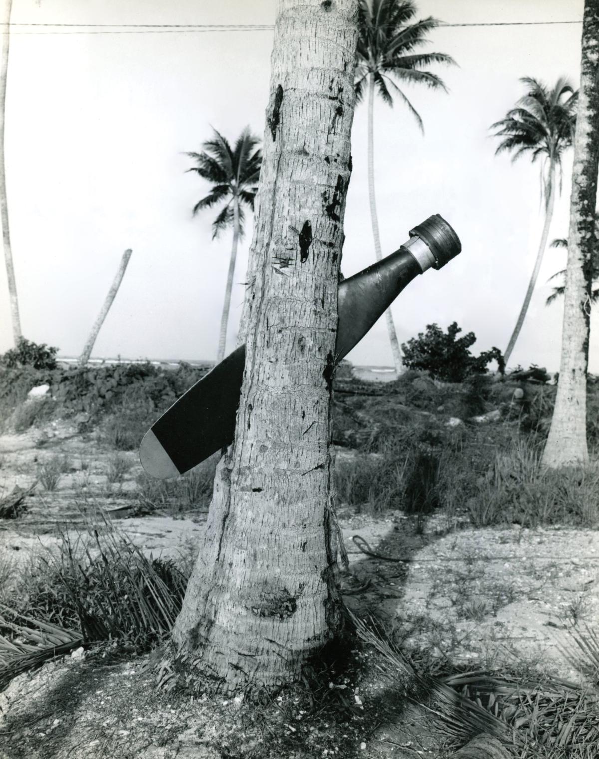 Propeller imbedded in trunk