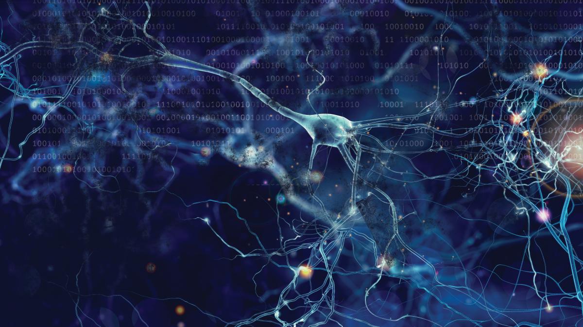 Binary code overlaying neurons