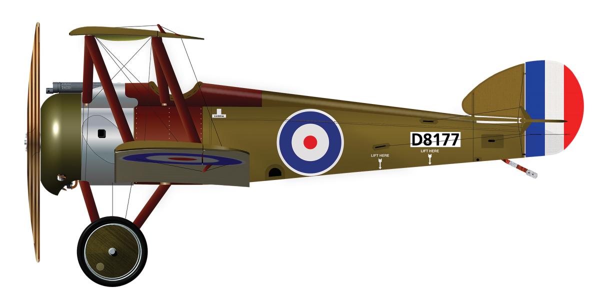There are no known photographs of 1F.1 Camel D8177, and the markings of No. 213 Squadron were not standardized, with aircraft often having personalized features. It is depicted here in one of the basic standard Camel configurations.