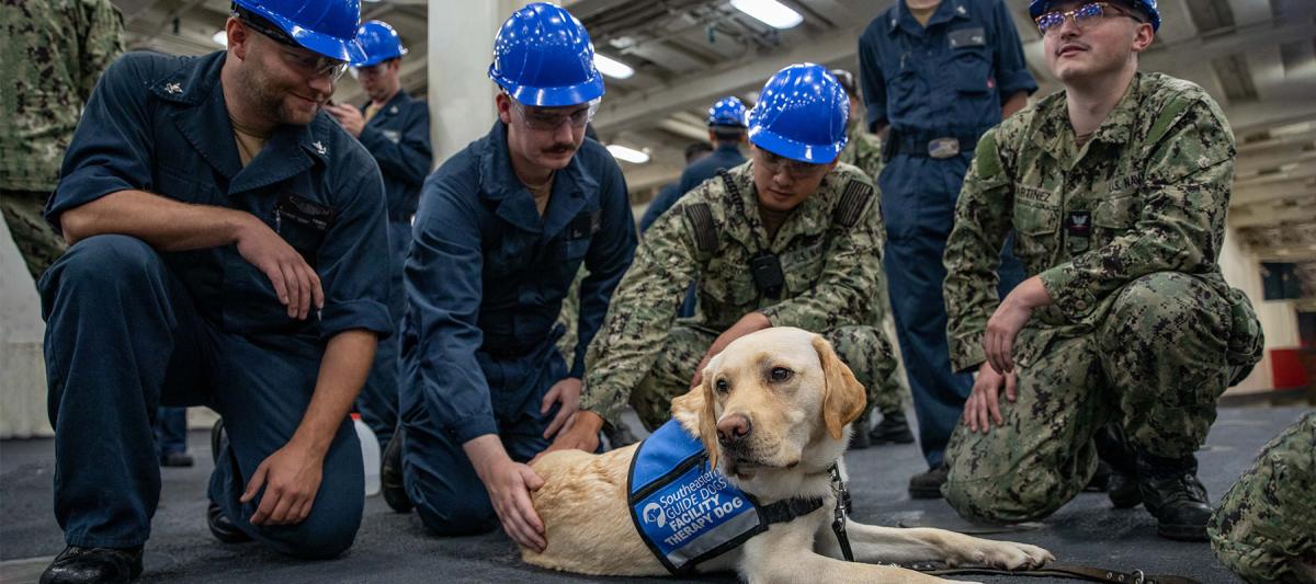 Sailors on board the USS Arlington (LPD-24) play with Charlie, a two-year old therapy dog. 