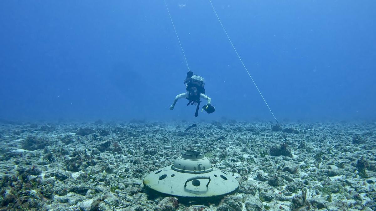 An explosive ordnance disposal technician disposes of a training mine. The technology and ideas to revive U.S. mine warfare are available and plentiful, but the community lacks a command structure to cohesively advocate, support, and properly conduct mine warfare.     