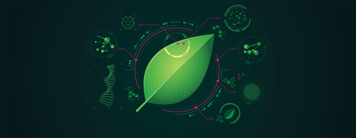 leaf