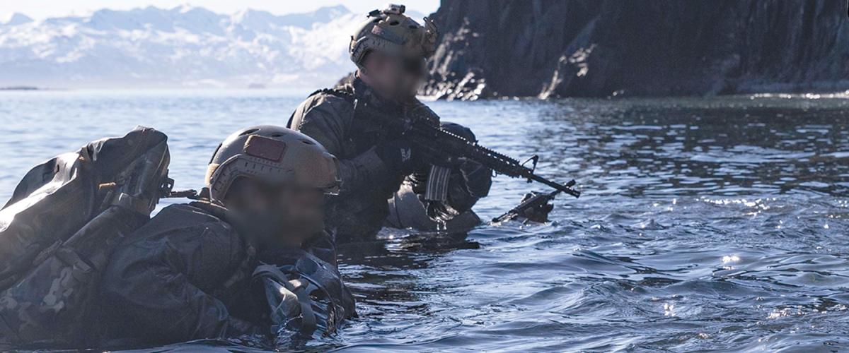 U.S. Navy SEALs 