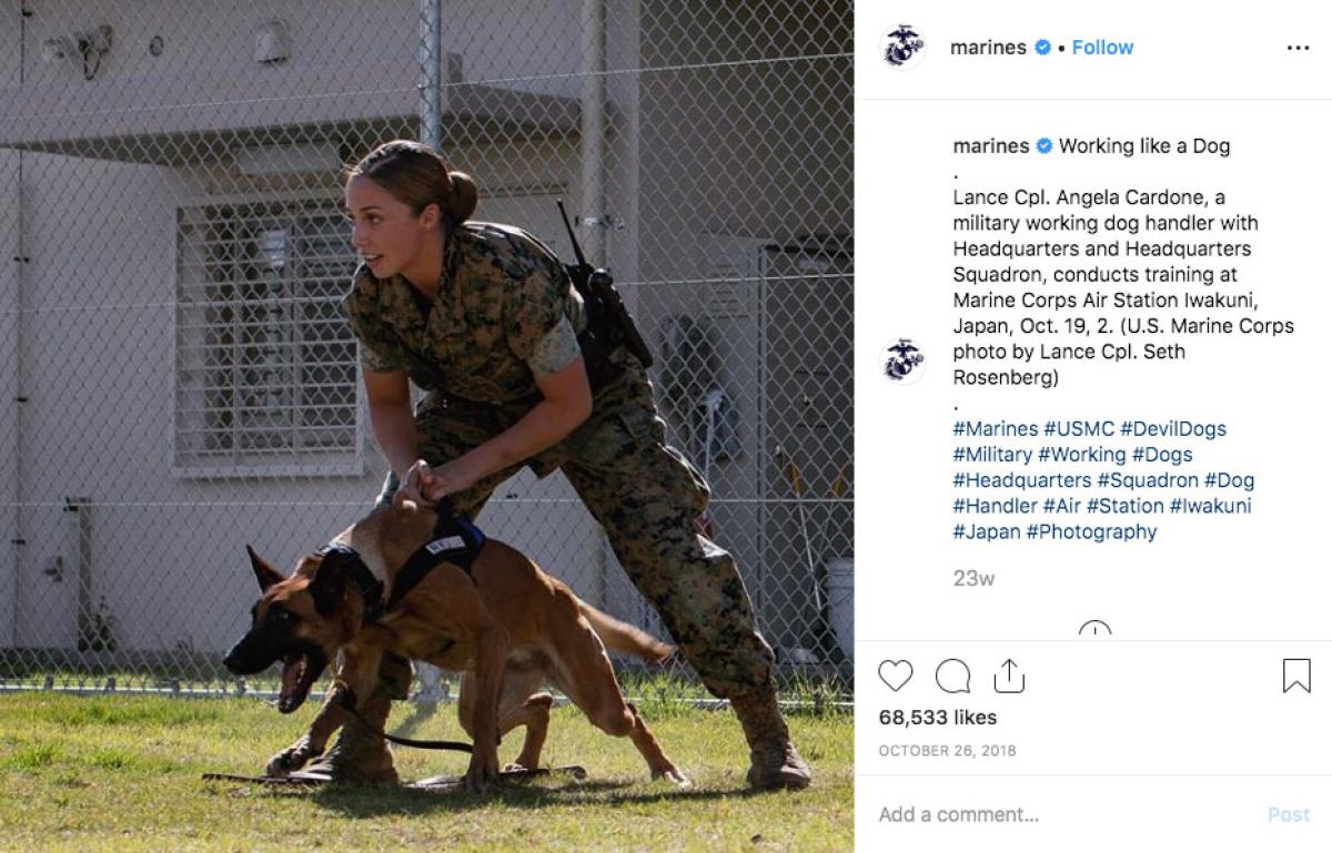 Marine Corps dog handler
