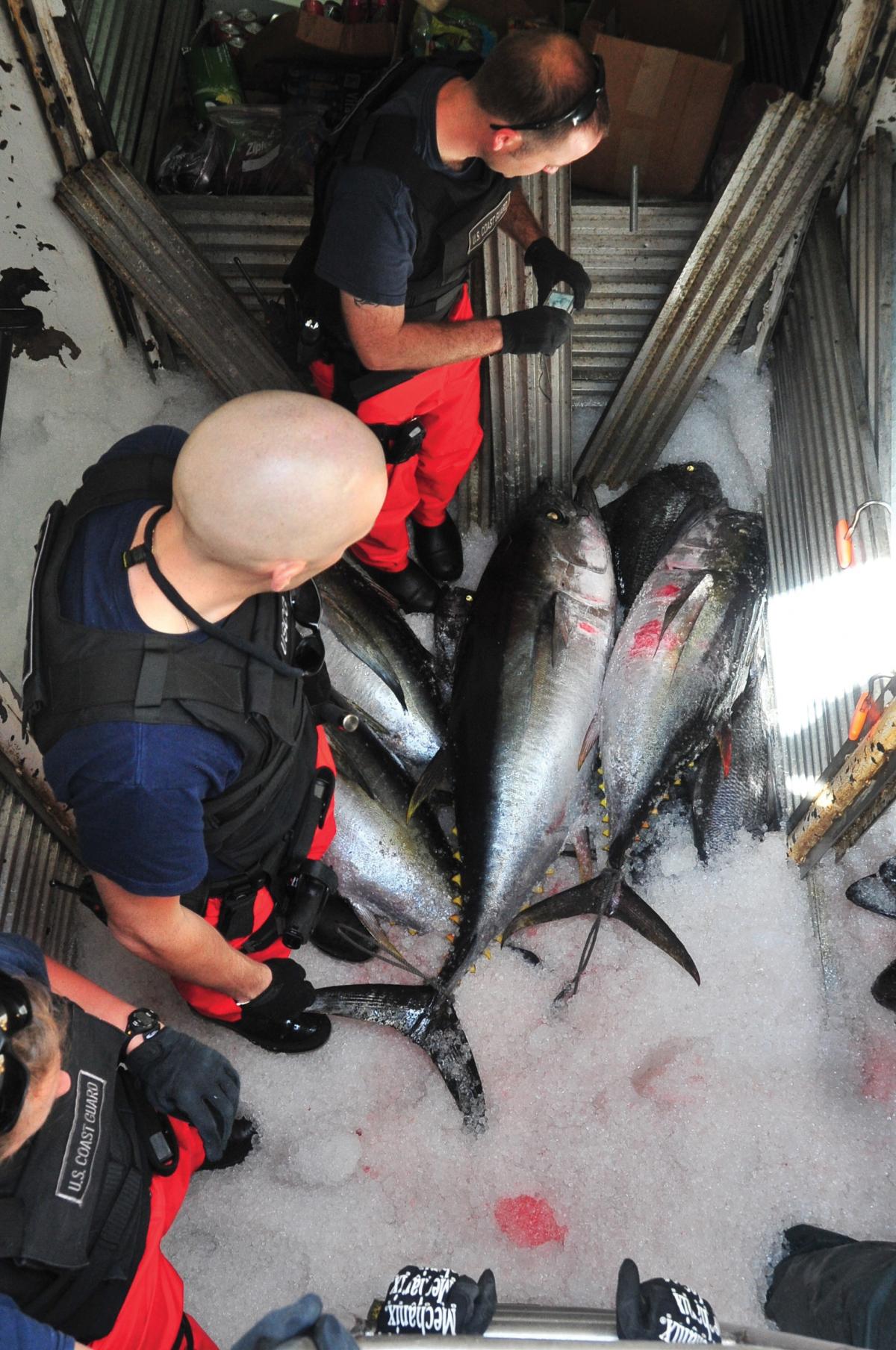 Boarding team members from Coast Guard Cutter Waesche inspect the refrigeration compartment of the fishing vessel Mariah