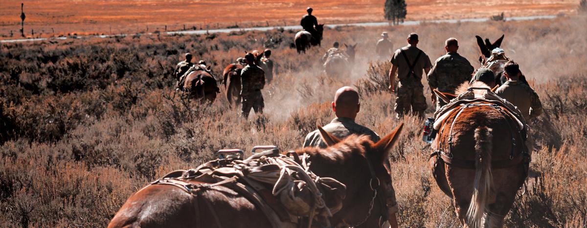 Army and Marine Corps special forces 