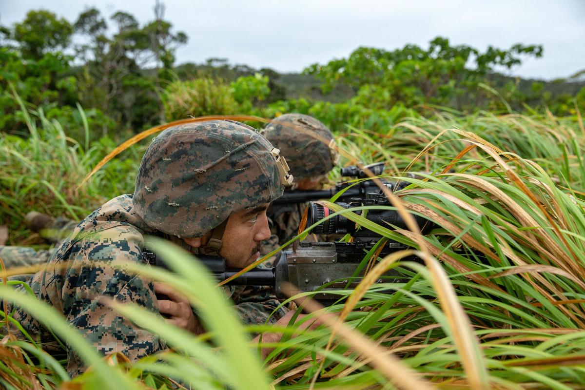 Marines will need to maximize camouflage, concealment, and deception techniques to survive in an environment without air supremacy. 